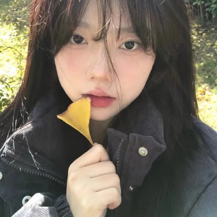 功夫兔与菜包狗第二季